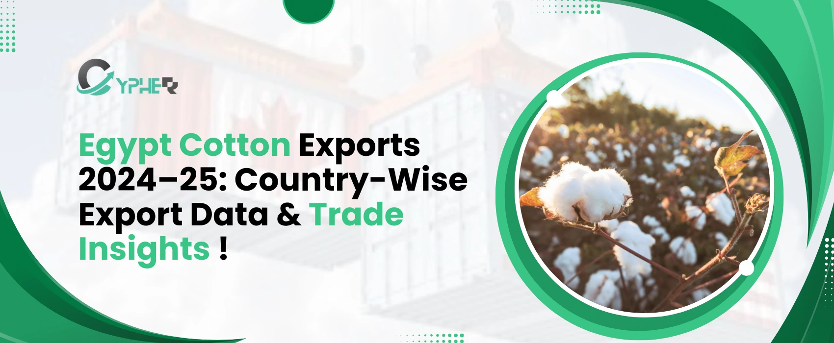 Egypt Cotton Exports 2024-25: Country-Wise Export Data & Trade Insights
