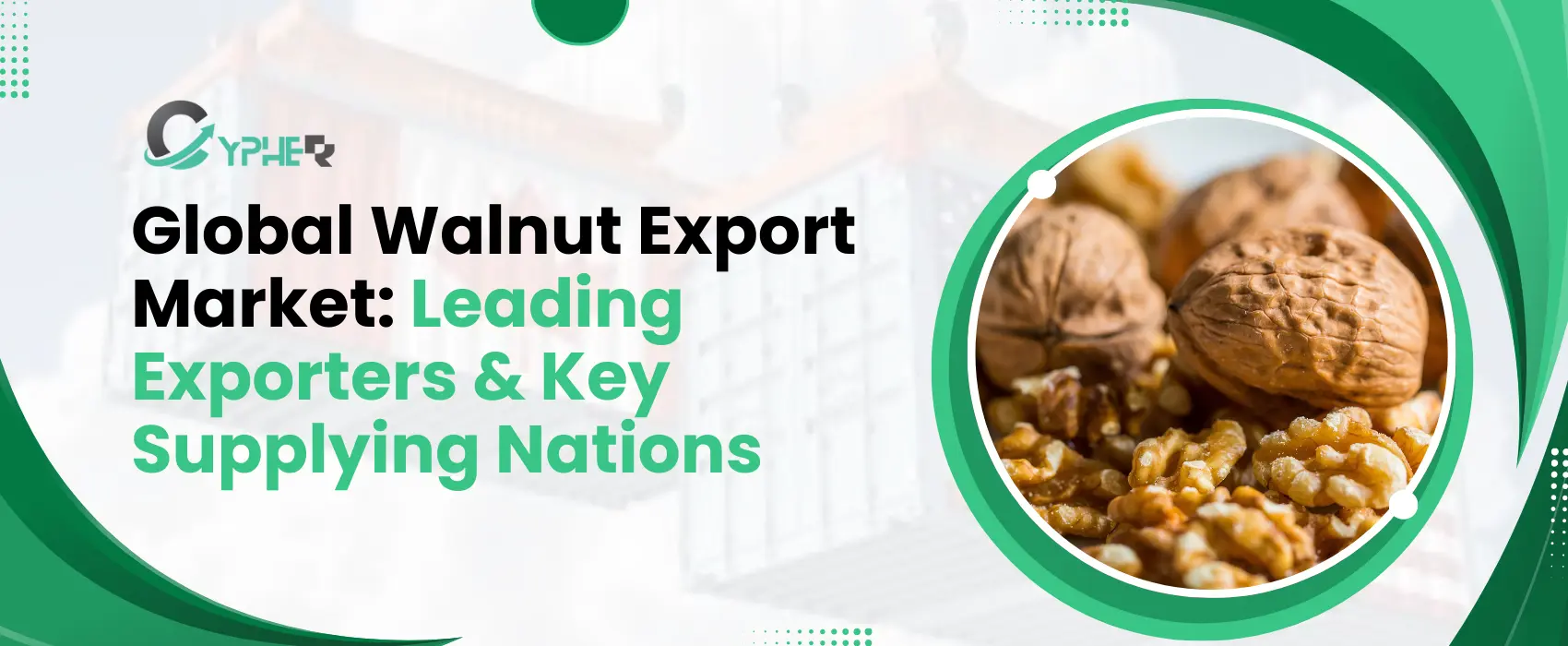 Global Walnut Export Market: Leading Exporters & Key Supplying Nations