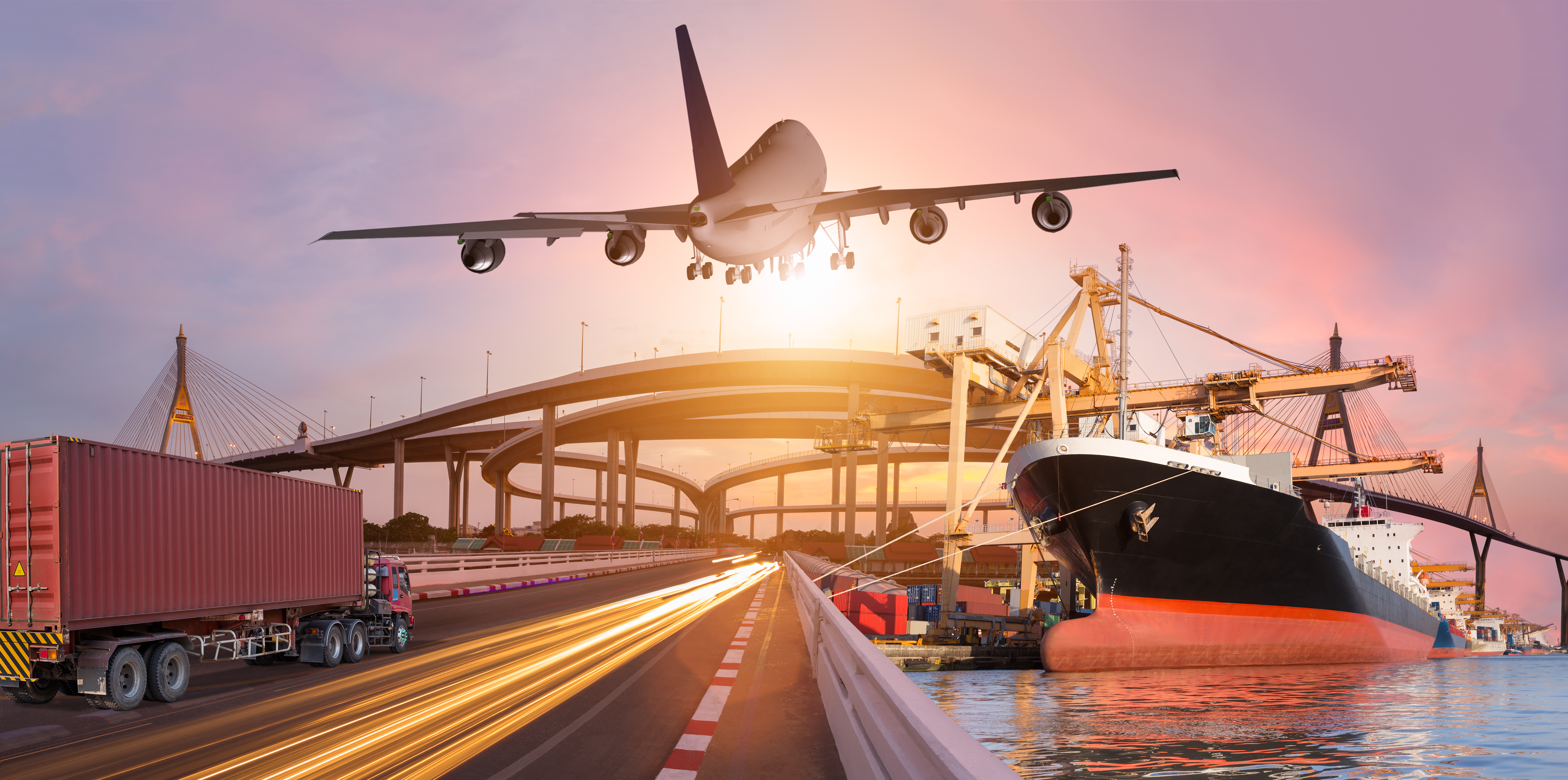 Export Data Insights